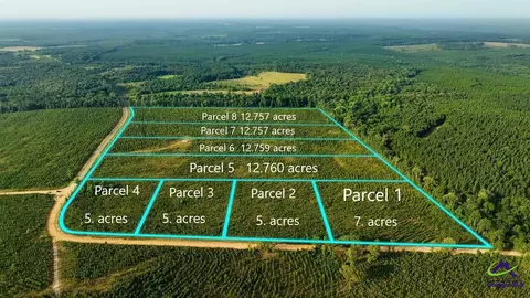 Parcel 3 Whipporwill Road, Reynolds, GA 31076