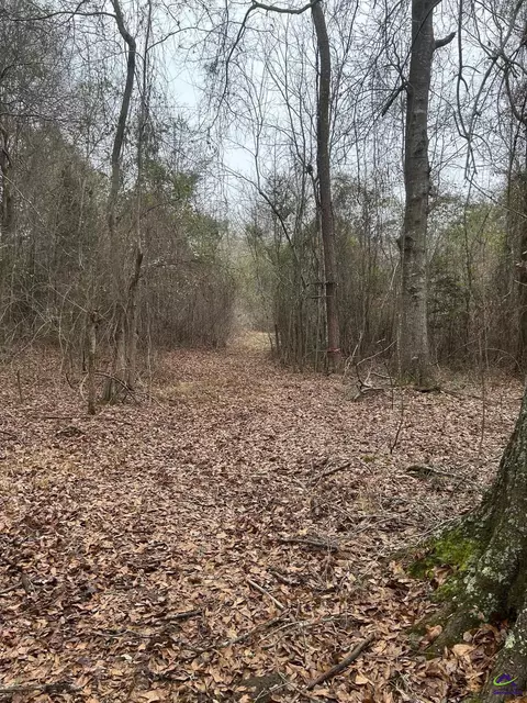 1163 Old Ideal Rd, Oglethorpe, GA 31068 photo 4