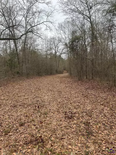 1163 Old Ideal Rd, Oglethorpe, GA 31068 photo 3