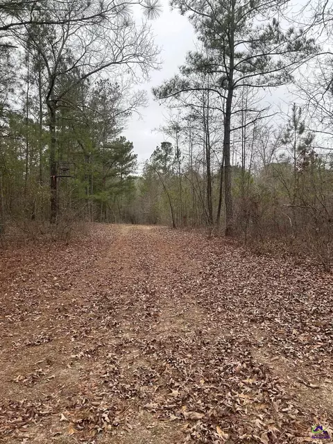 1163 Old Ideal Rd, Oglethorpe, GA 31068 photo 2
