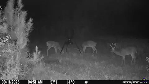 1351 Dixon Rd, Roberta, GA 31078 photo 6
