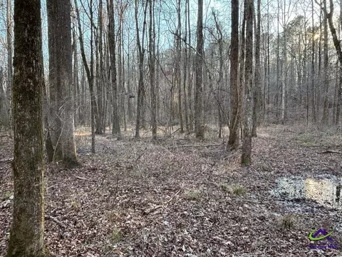 1351 Dixon Rd, Roberta, GA 31078 photo 13