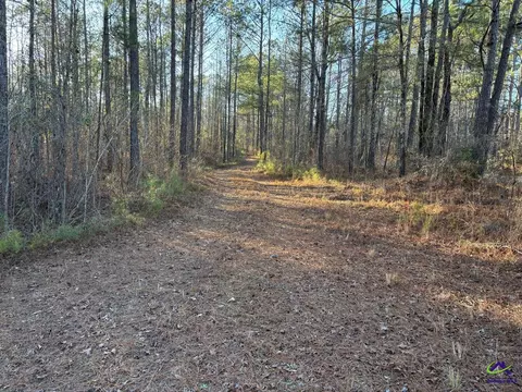 1351 Dixon Rd, Roberta, GA 31078 photo 3