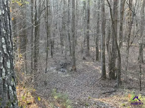 1351 Dixon Rd, Roberta, GA 31078 photo 12