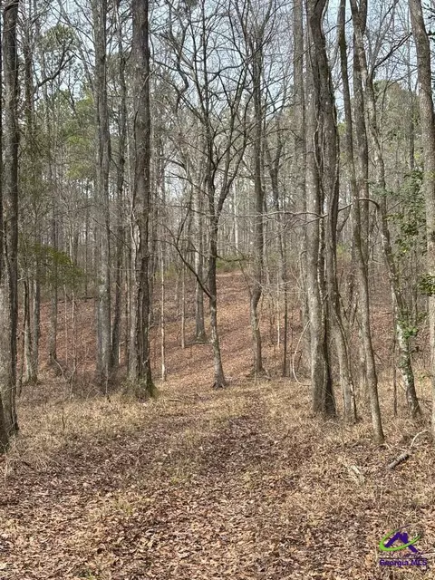 1351 Dixon Rd, Roberta, GA 31078 photo 17