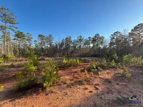1351 Dixon Rd, Roberta, GA 31078 photo 11