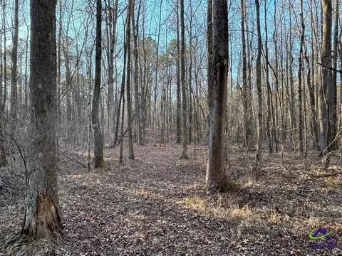 1351 Dixon Rd, Roberta, GA 31078 photo 14