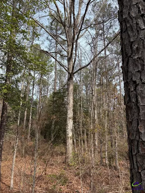 1351 Dixon Rd, Roberta, GA 31078 photo 19