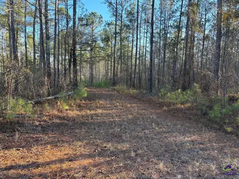 1351 Dixon Rd, Roberta, GA 31078 photo 4