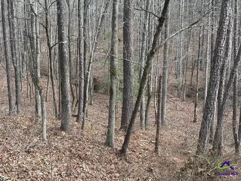 1351 Dixon Rd, Roberta, GA 31078 photo 18
