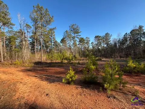 1351 Dixon Rd, Roberta, GA 31078 photo 10