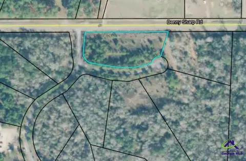 0 Benny Sharp Rd, Hawkinsville, GA 31036