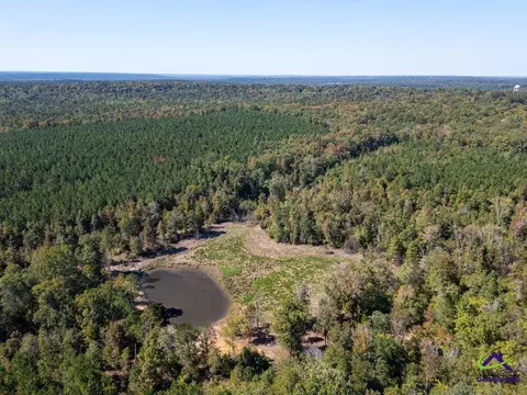 159 High Hill St, Irwinton, GA 31042