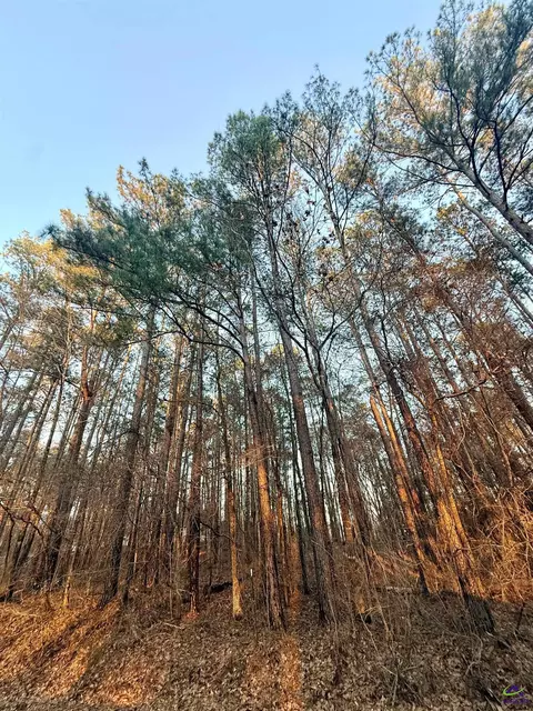 121 B Sunset Dr, Eatonton, GA 31024