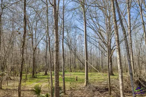 7329 Houston Rd, Macon, GA 31216 photo 27