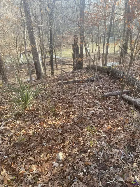 27 Charleston Cir, Hawkinsville, GA 31036