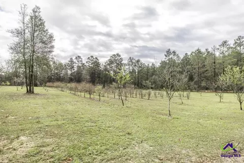 319 Pope Rd, Roberta, GA 31078 photo 42
