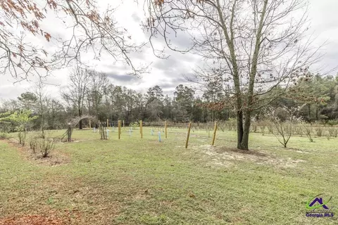 319 Pope Rd, Roberta, GA 31078 photo 37