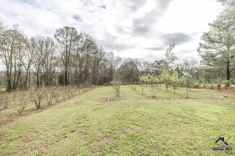 319 Pope Rd, Roberta, GA 31078 photo 34