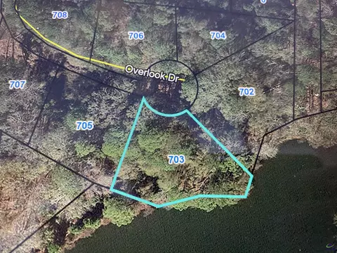 703 Overlook Dr, Montezuma, GA 31063