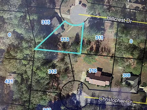313 Hillcrest Dr, Montezuma, GA 31063