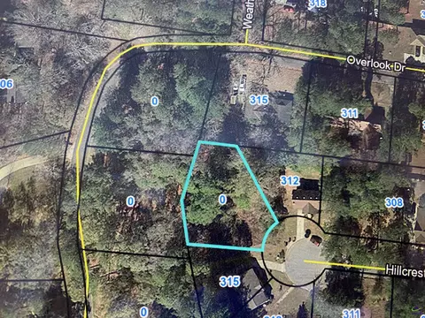 0 Hillcrest Dr, Montezuma, GA 31063