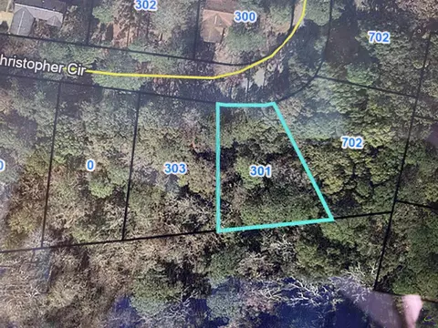 301 Christopher Cir, Montezuma, GA 31063