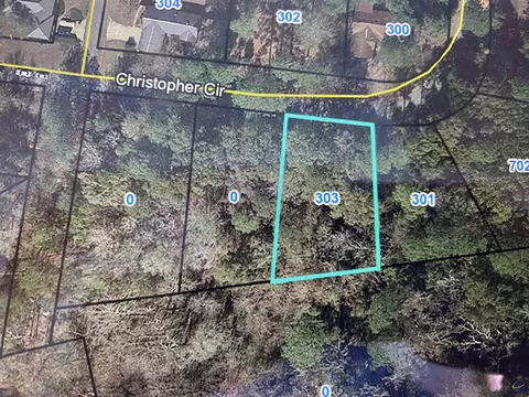 303 Christopher Cir, Montezuma, GA 31063