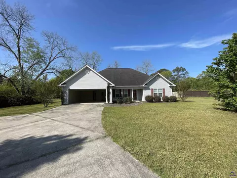 128 Horse Whisperer Ln, Cochran, GA 31014