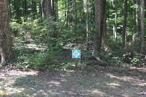 lot47 Turkey Trot Trl, See Remarks, GA 30175