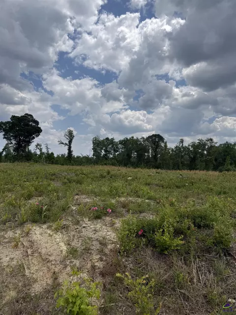 J D Williams Road, Cadwell, GA 31009