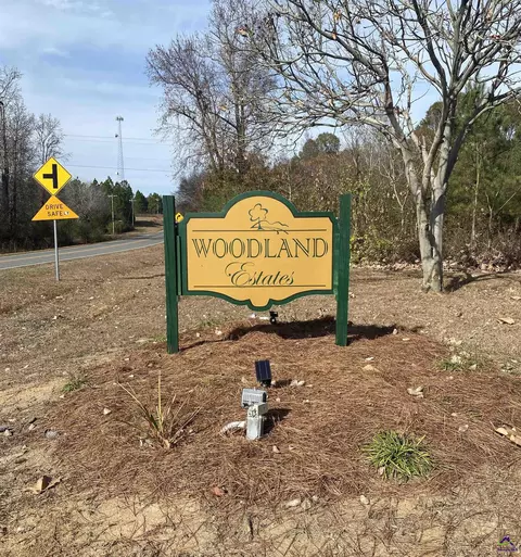 lot46 Woodland Trl, Cochran, GA 31014
