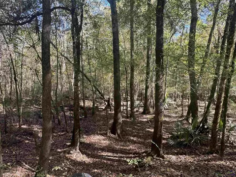 00 Sand Hammock, Hawkinsville, GA 31036
