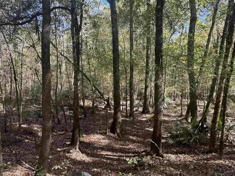 00 Sand Hammock, Hawkinsville, GA 31036