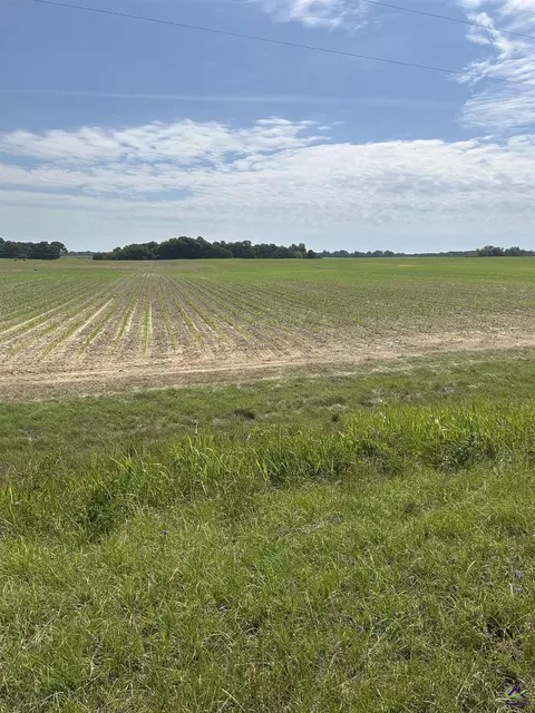 Royal Road, Unadilla, GA 31091