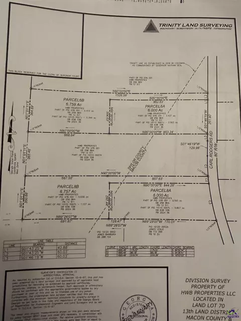 Parcel 6a Carl Rodgers Rd., Reynolds, GA 31070