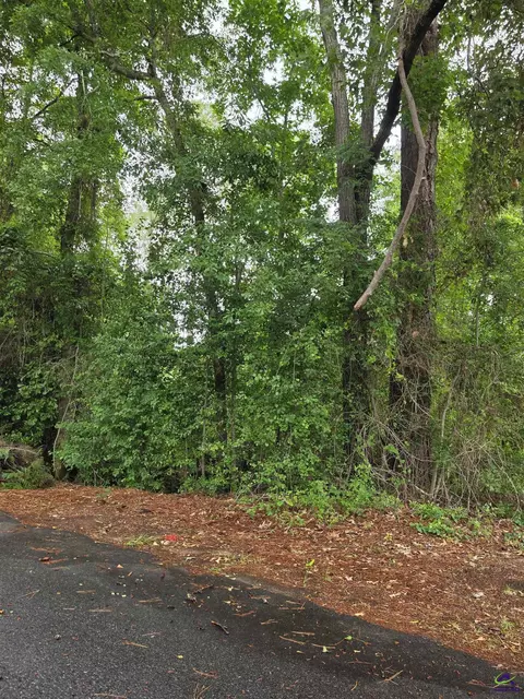 12 Reynolds St, Hawkinsville, GA 31036