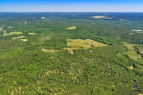 Parcel 1 Everett Wood Road, Oglethorpe, GA 31068 photo 3