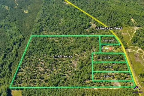 Parcel 1 Everett Wood Road, Oglethorpe, GA 31068