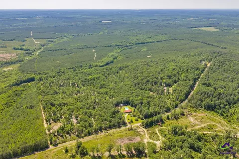 Parcel 1 Everett Wood Road, Oglethorpe, GA 31068 photo 6