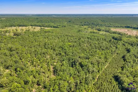 Parcel 1 Everett Wood Road, Oglethorpe, GA 31068 photo 8