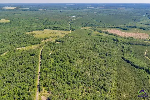 Parcel 1 Everett Wood Road, Oglethorpe, GA 31068 photo 4