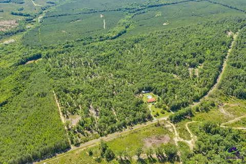 Parcel 2 Everett Wood Road, Oglethorpe, GA 31068 photo 6