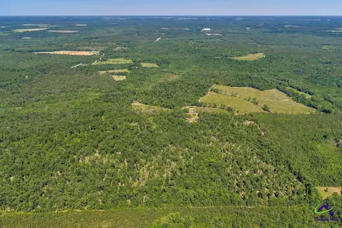 Parcel 2 Everett Wood Road, Oglethorpe, GA 31068 photo 8