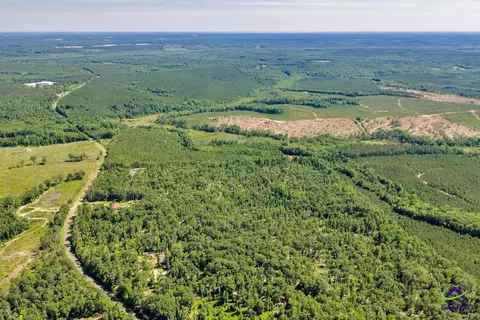 Parcel 2 Everett Wood Road, Oglethorpe, GA 31068 photo 10