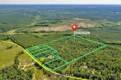 Parcel 2 Everett Wood Road, Oglethorpe, GA 31068 photo 27