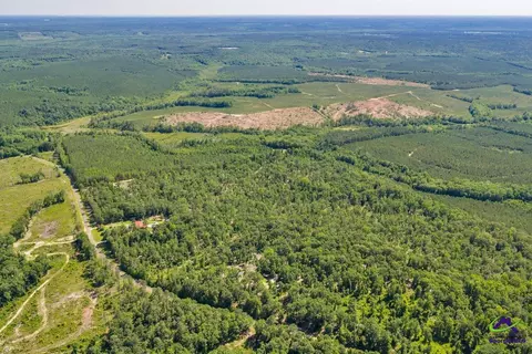 Parcel 2 Everett Wood Road, Oglethorpe, GA 31068 photo 16