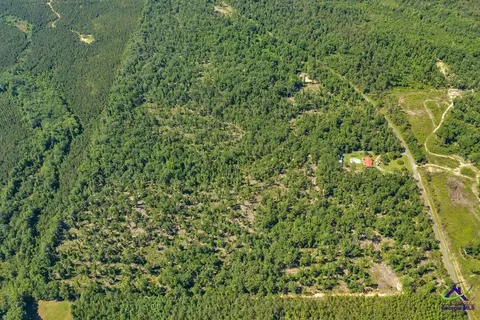 Parcel 2 Everett Wood Road, Oglethorpe, GA 31068 photo 11