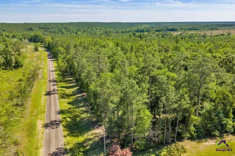 Parcel 2 Everett Wood Road, Oglethorpe, GA 31068 photo 25