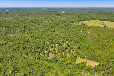 Parcel 3 Everett Wood Road, Oglethorpe, GA 31068 photo 11